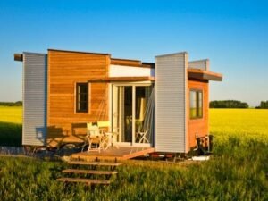 Contemporary Dragonfly-20