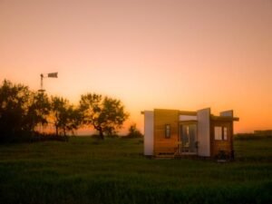 Contemporary Firefly-28