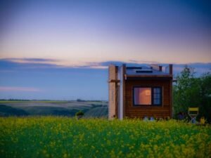 Contemporary Dragonfly-28