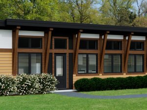 Contemporary Caribou-704